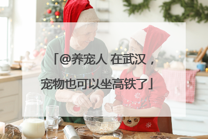 @养宠人 在武汉，宠物也可以坐高铁了
