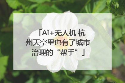 AI+无人机 杭州天空里也有了城市治理的“帮手”