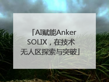 AI赋能Anker SOLIX，在技术无人区探索与突破