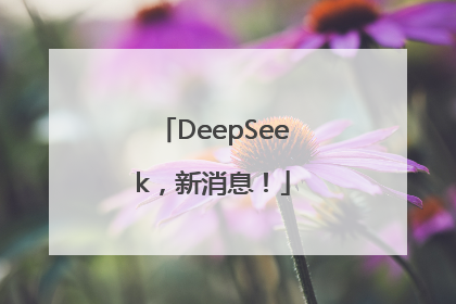 DeepSeek，新消息！