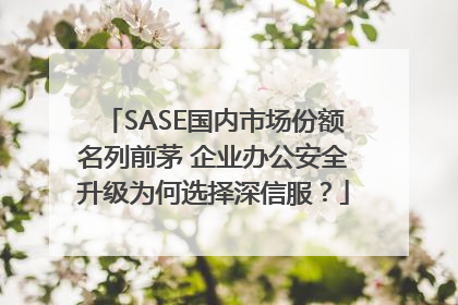 SASE国内市场份额名列前茅 企业办公安全升级为何选择深信服？